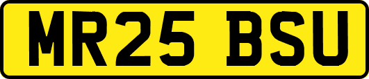 MR25BSU