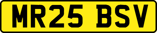 MR25BSV