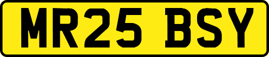 MR25BSY