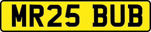 MR25BUB