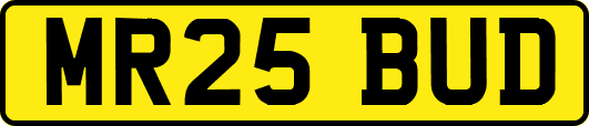 MR25BUD