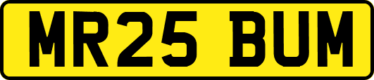 MR25BUM