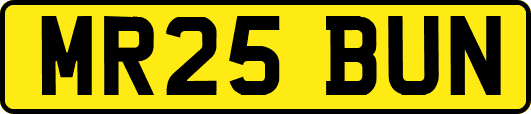 MR25BUN