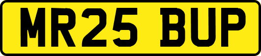 MR25BUP