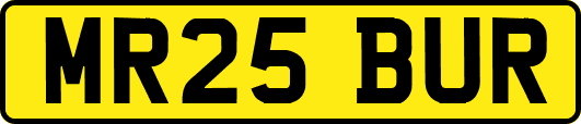 MR25BUR