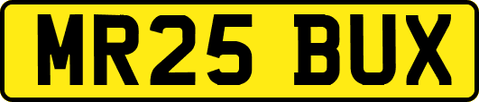 MR25BUX