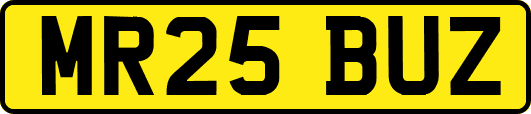 MR25BUZ