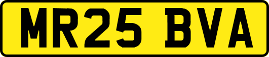 MR25BVA