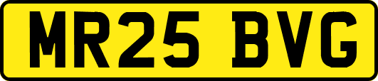 MR25BVG