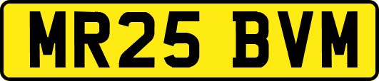 MR25BVM