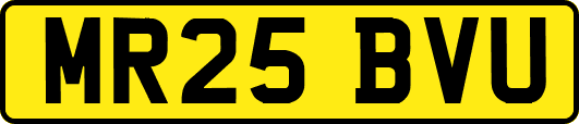 MR25BVU