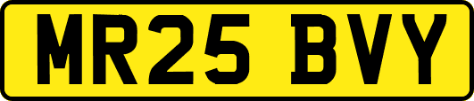 MR25BVY