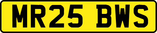MR25BWS