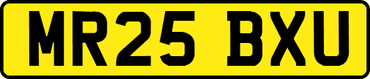 MR25BXU