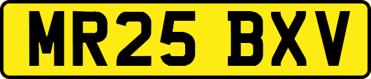 MR25BXV