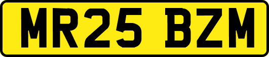 MR25BZM