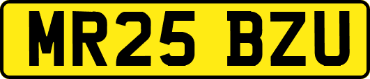MR25BZU