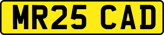 MR25CAD