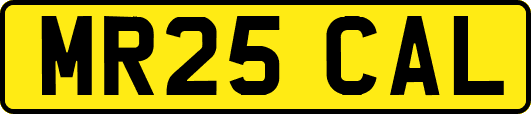 MR25CAL