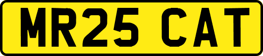 MR25CAT