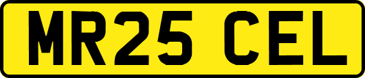 MR25CEL