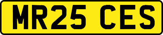 MR25CES