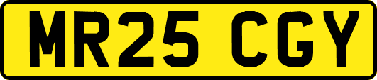 MR25CGY