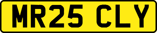 MR25CLY