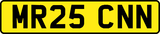 MR25CNN