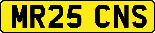MR25CNS