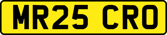 MR25CRO