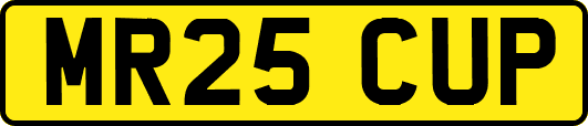 MR25CUP