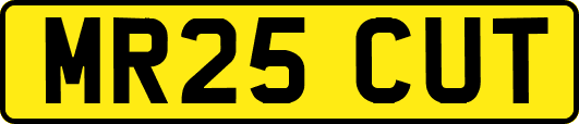 MR25CUT