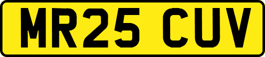 MR25CUV