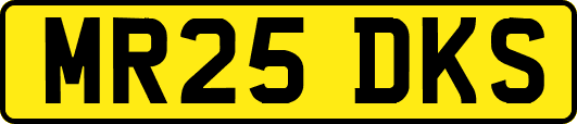 MR25DKS