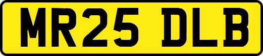 MR25DLB