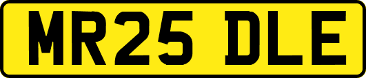 MR25DLE