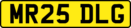 MR25DLG
