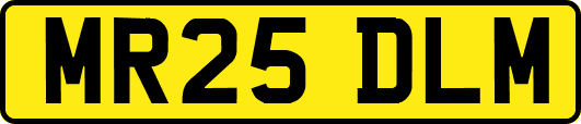 MR25DLM