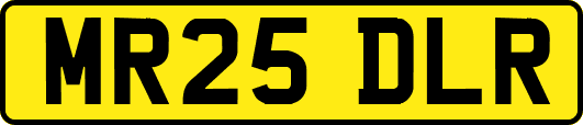 MR25DLR