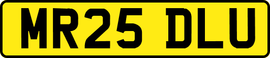 MR25DLU