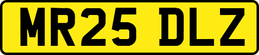 MR25DLZ
