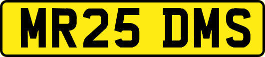 MR25DMS