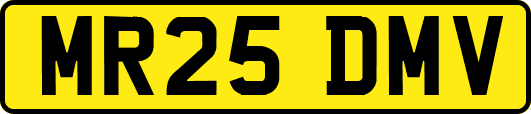 MR25DMV