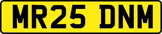MR25DNM