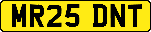 MR25DNT