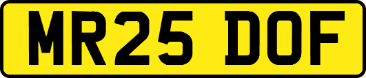 MR25DOF