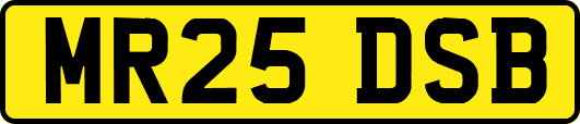 MR25DSB