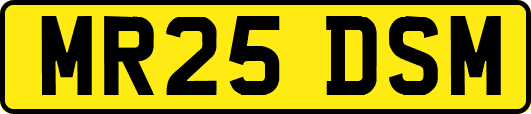 MR25DSM