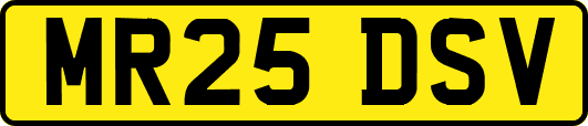 MR25DSV